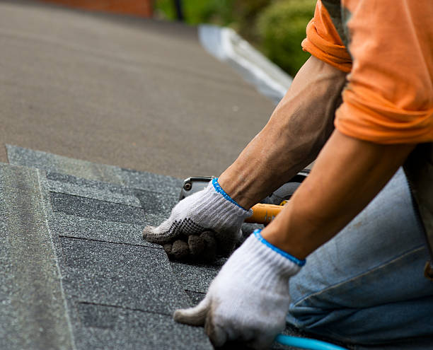 Best Roof Leak Repair  in Dundee, FL
