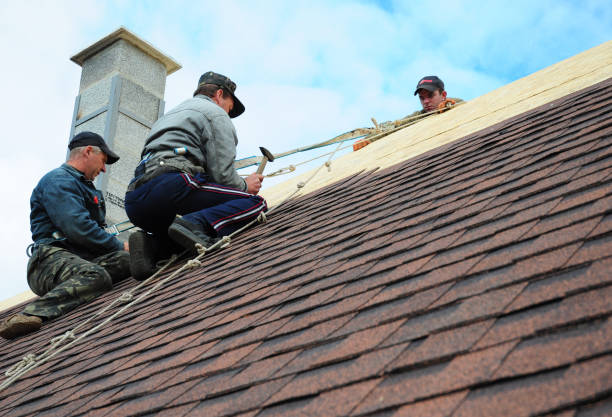 Best Emergency Roof Repair  in Dundee, FL