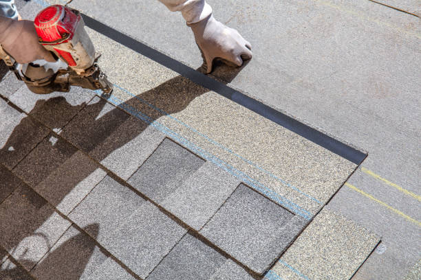 Best Residential Roof Replacement  in Dundee, FL
